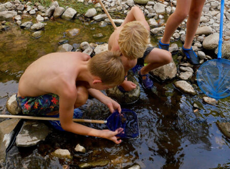 Pêche à la rivière