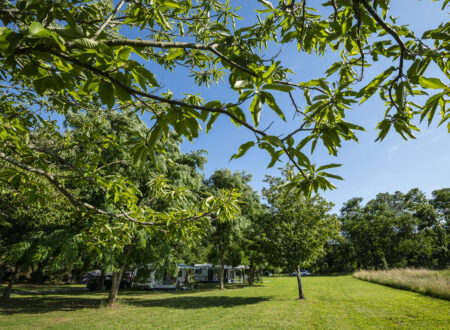 Natuurlijke staanplaatsen