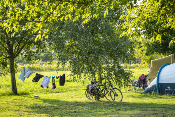 Campsite pitches Campsite pitches