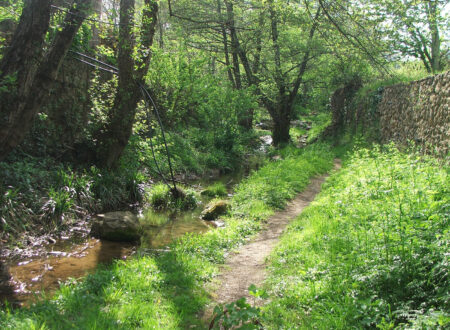 Le Sentier du Toufache