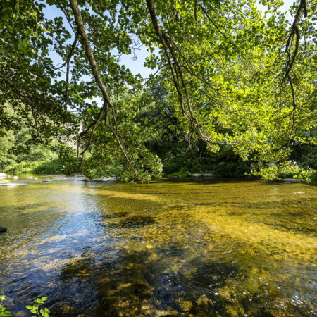 Schwimmen im Fluss