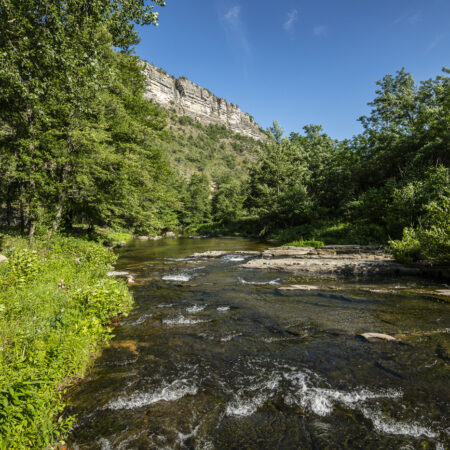 Zwemmen in de rivier