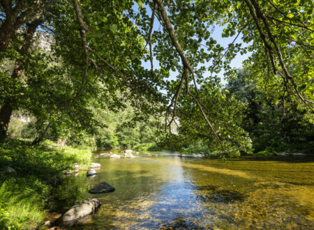 La nature au camping La Turelure | Camping 3 étoiles Ardèche