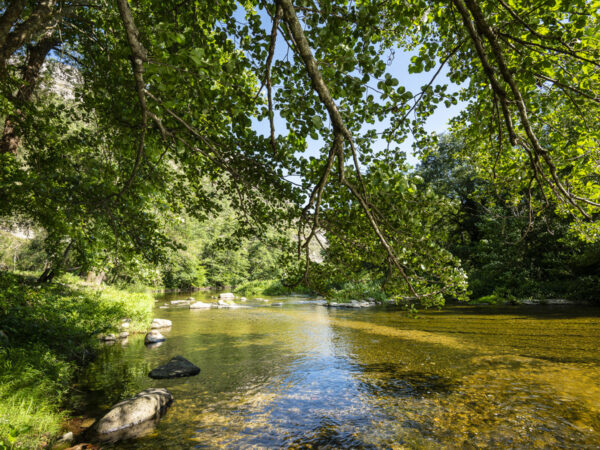 Natuur op de camping